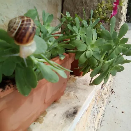 Gardijan Apartment *
